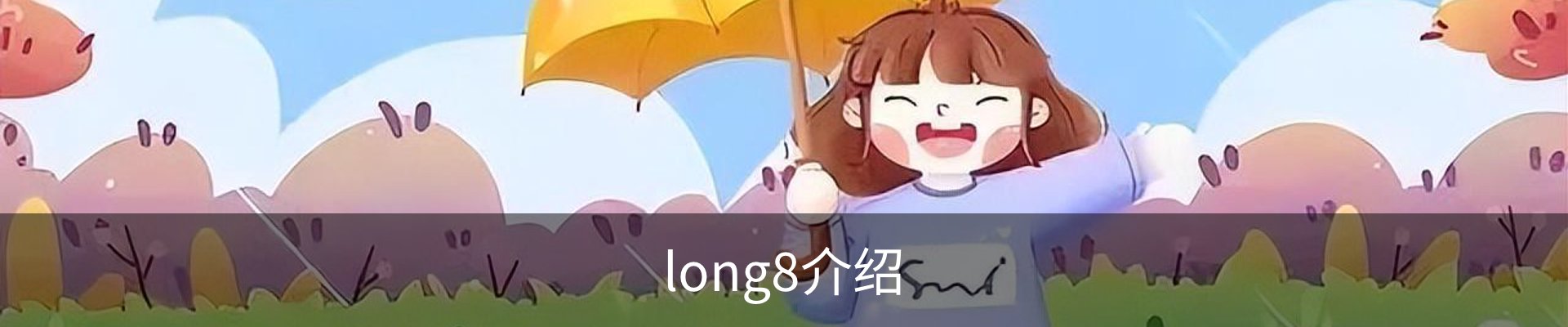long8介绍